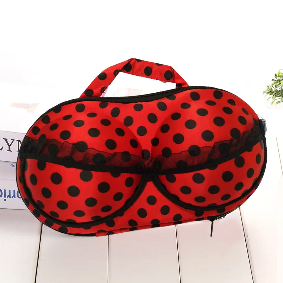 Bra Storage