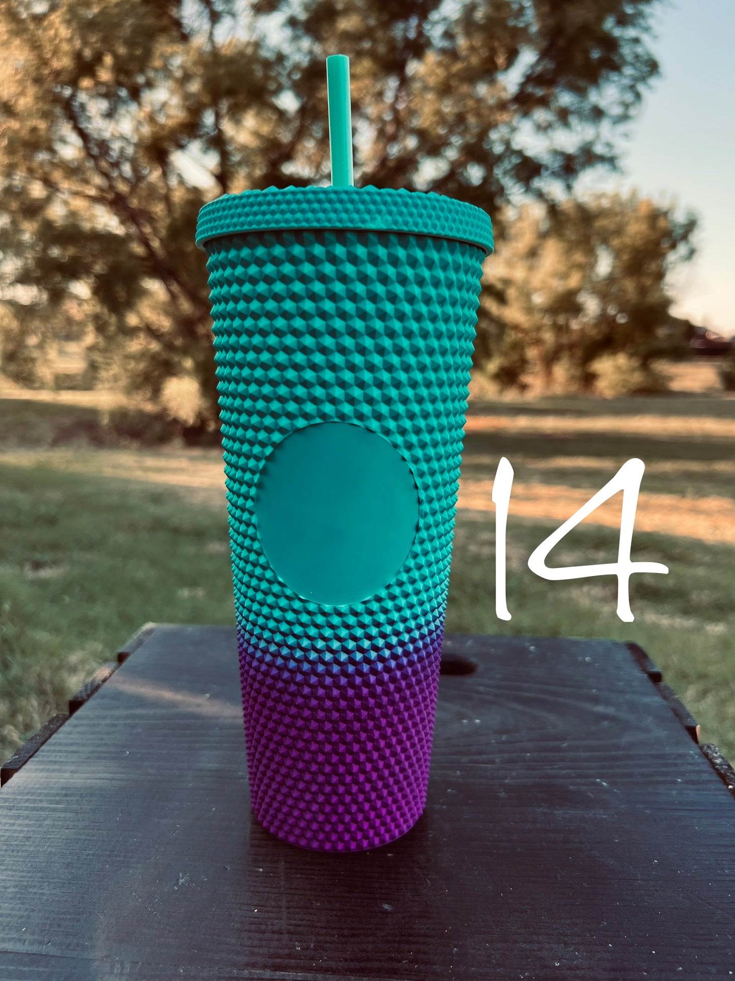 Studded Tumbler