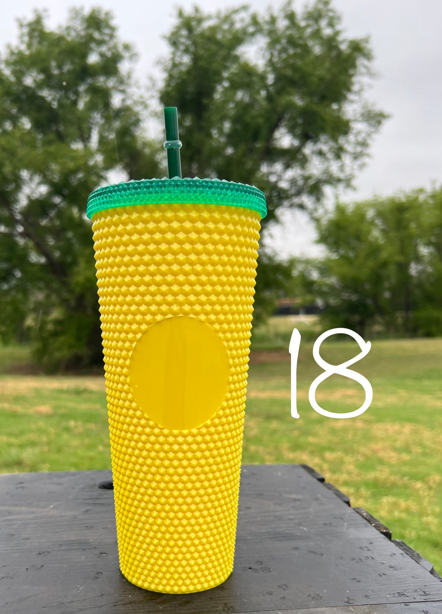 Studded Tumbler