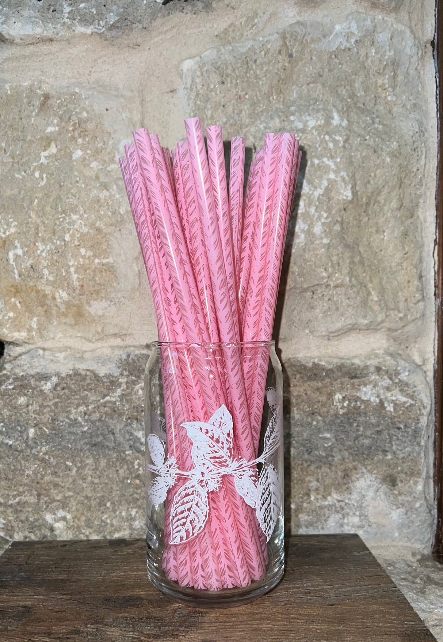 Reusable Straws - Plastic Pack of 10